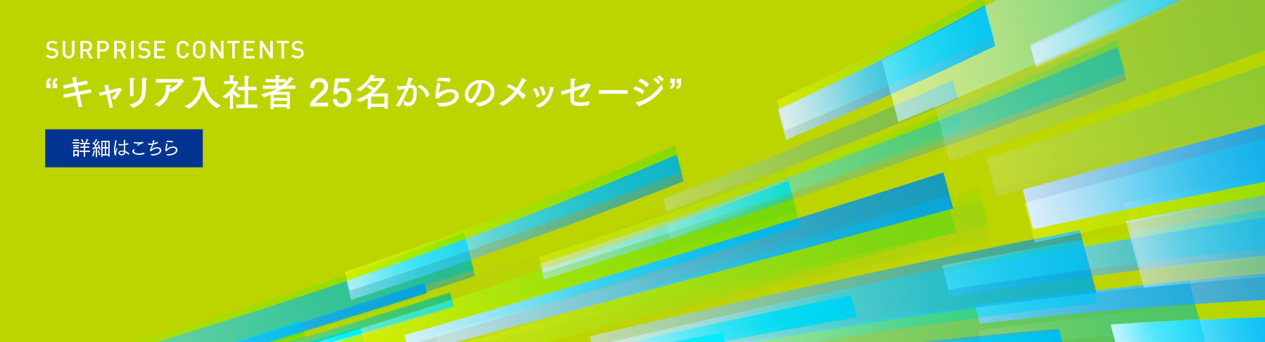 キャリア入社者からのメッセージ