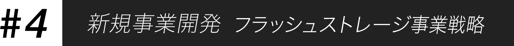 新規事業開発 フラッシュストレージ事業戦略